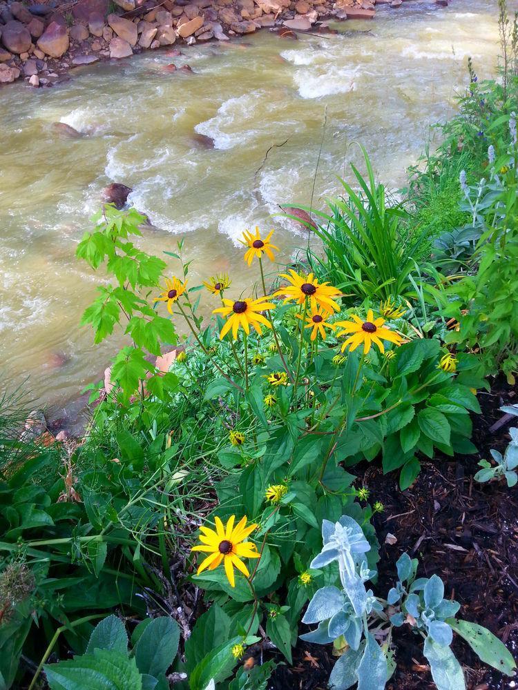 Rivers Edge Motel Lodge & Resort Ouray Bagian luar foto